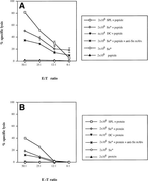Fig. 5. Sn+ macrophage-mediated presentation of MHC class I-restricted peptide of β-gal (A) and processing of β-gal protein and presentation of MHC class I-restricted peptide (B) to CD8 T lymphocytes. Immune spleen lymphocytes (responder cells) from DBA/2 mice primed 9 days before by intrapinna injection of a subtumorigenic dose of lac Z gene-transfected ESb-L cells were depleted of macrophages and DCs by plastic adherence and incubated with SPL (□), Sn+ spleen macrophages (◊; 2 × 107responder and 2 × 106 stimulatory cells), or DCs (▾; 2 × 107 responder and 2 × 104 stimulatory cells). The incubation mixture also contained β-gal whole antigen (B) or its derived MHC class I-restricted peptide (TPHPARIGL) (A). In some cultures, anti-Sn blocking MoAbs (1C2 and SER-4) were added (★). Negative controls included responder cells and Sn+ cells without the antigen (○) or antigen with responder cells only (▴). Five days later, the stimulation cultures were harvested and the cytotoxic activity of generated effector cells (E) was tested in a 4-hour51Cr release assay using as target cells (T) the lac Z-transduced P815 mastocytoma cell line, P13.1. Means and standard deviations from 4 independent experiments are shown. Data points without SD represent values for which the SD was smaller than 1.