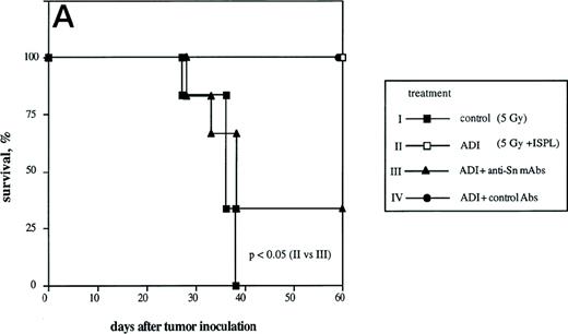 Fig. 4. Effect of the treatment with anti-Sn MoAbs in vivo on the efficiency of ADI therapy in tumor-bearing DBA/2 mice. (A) Tumor-bearing mice (6 animals per experimental group) were treated IV with the mixture of anti-Sn MoAbs (1C2 and SER-4 directed against different epitopes of Sn) 1 and 3 days after ADI. (▪) Control (nontreated tumor-bearing mice); (□) ADI-treated tumor-bearing mice; (▴) tumor-bearing mice injected with anti-Sn MoAbs 1 and 3 days after ADI; (•) tumor-bearing mice injected with normal rat IgG (control Abs). One representative experiment of three is shown. (B and C) Immunohistochemical pictures of frozen liver sections from tumor-bearing DBA/2 mice (at day 8 after ADI) treated with immune cells only (B) or in combination with the mixture of anti-Sn MoAbs (1C2 and SER-4) (C). Shown are periportal areas in which most of the Sn+ macrophages are located. (B) shows the staining for Sn (pink) and (C) shows the staining for anti-Sn MoAbs (pink) using goat antirat second antibody (original magnification × 200). pv, portal vein. (D) Presence of CD8 T lymphocytes in the livers of mice treated with ADI and anti-Sn MoAbs. Total number of CD8 T cells in ADI-treated mice (▪) and in animals injected with anti-Sn MoAbs 1 and 3 days after ADI (□). Number of CD8 T cells associated with Sn+ Kupffer cells in clusters in mice treated with ADI only () or with ADI in combination with anti-Sn MoAbs (▧). Data represent the means and standard deviations from two experiments with 2 to 3 animals per time point. *Statistically significant difference when compared with the respective control.