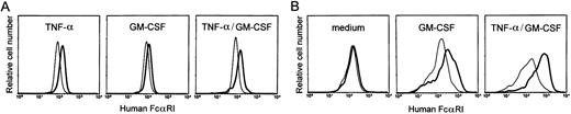 Fig. 2. Cytokine regulation of hFcRI expression in transgenic mice. (A) Bone marrow-derived neutrophils were cultured overnight with TNF- and/or GM-CSF and stained for surface expression of FcRI. Cells cultured in the presence of cytokines (bold lines) were compared with cells cultured in medium alone (thin lines). Gr-1-PE was used to identify granulocytes. (B) Effect of GM-CSF and TNF- on hFcRI expression on bone marrow-derived macrophages. Cells of nontransgenic (thin lines) and transgenic (bold lines) mice were cultured for 8 days. Cells were stained with anti-hFcRI MoAb A77-FITC and counterstained with F4/80-biotin/streptavidin-PE to define macrophages. This experiment was repeated four times with similar results.