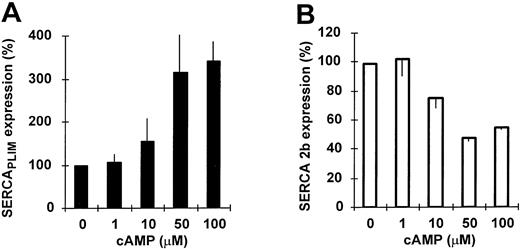 Fig. 3. Modulation of calcium pump expression by cAMP. HL-60 cells were treated with various concentrations of the cell-permeable cAMP analog CTP-cAMP for 4 days and SERCA expression was determined. (A and B) Concentration dependence of the modulation of SERCAPLIM and SERCA 2b expression by cAMP, respectively. Data represent the mean ± SEM of 3 experiments.