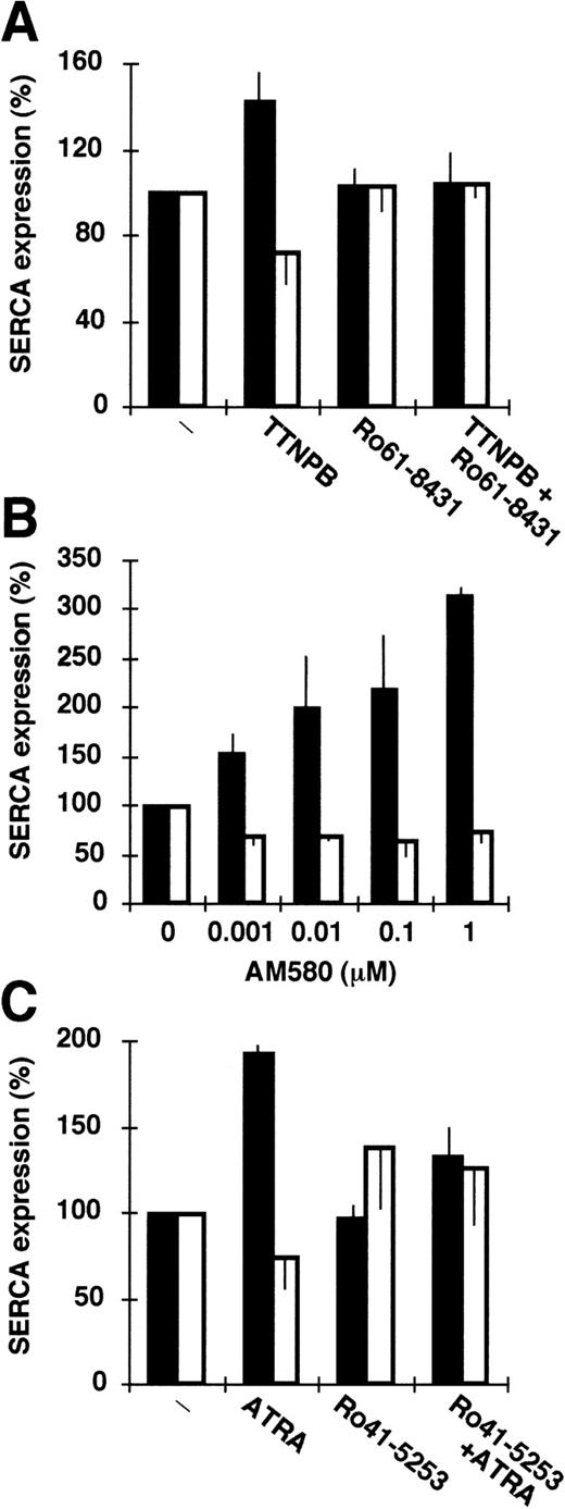 Fig. 4. Treatment of HL-60 and NB4 cells by retinoids in the presence of retinoic acid receptor antagonists. (▪) SERCAPLIM; (□) SERCA 2b. (A) Treatment of NB4 cells by 0.1 μmol/L TTNPB (a pan-RAR agonist) in the presence or absence of 10 μmol/L Ro61-8431 (a pan-RAR antagonist). (B) Treatment of NB4 cells with various concentrations of AM580 (an RAR selective agonist). (C) Treatment of HL-60 cells with 0.1 μmol/L ATRA in the presence or absence of 10 μmol/L Ro41-5253 (an RAR specific antagonist). Data represent the mean ± SEM of 3 experiments.