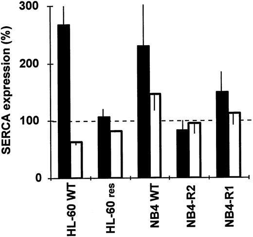 Fig. 6. SERCA expression in ATRA-resistant HL-60 and NB4 cells. Wild-type and ATRA-resistant HL-60 and NB4 cells were treated with 1 μmol/L of ATRA for 4 days and SERCA expression was determined. (▪) SERCAPLIM; (□) SERCA 2b. Data are the mean ± SEM of 3 experiments.