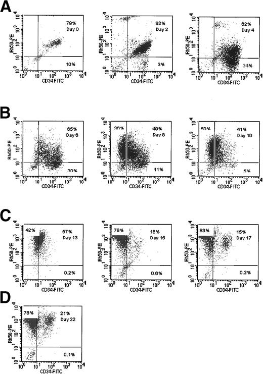 Fig. 1. Rh gp (syn. Rh50) and CD34 expression in cultures of CB cells. Cells were analyzed using two-color fluorescence as detailed in Materials and Methods. The percentage of cells in each quadrant is shown.