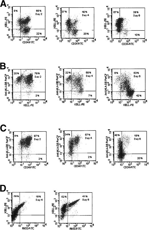 Fig. 3. Comparative expression of CD34, Kell gp, and HLA-DR in cultures of CB cells. (A) Kell gp and CD34 expression. (B) HLA-DR and Kell. (C) HLA-DR and CD34. (D) Rh gp and Kell gp expression.