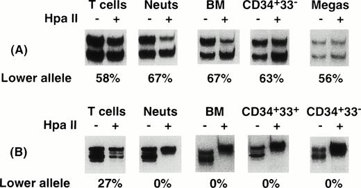 Fig. 3. Representative DNAHUMARA analyses of purified cells from 2 ET patients.