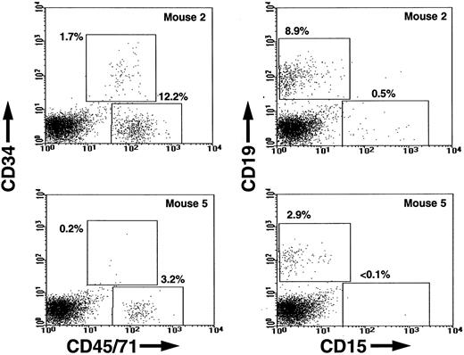 Fig. 1. FACS dot plots showing the frequencies of human CD45/71+ (total) and human CD34+(primitive) hematopoietic cells (left panels) and the frequencies of human CD19+ (B-lymphoid) and CD15+(granulopoietic) cells (right panels) in the most-highly engrafted secondary mice injected with equivalent transplants of cells obtained from primary mice engrafted with human cord blood cells and administered a 2-week course of SF, IL-3, GM-CSF, and Ep (Mouse 2) or not (Mouse 5) in a representative experiment.