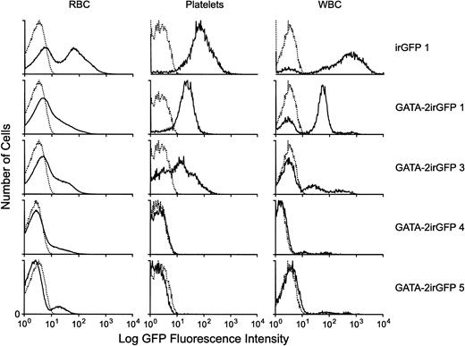 Fig. 8. Levels of GATA-2irGFP– or control-vector irGFP-expressing cells in the peripheral blood of animals selectively transplanted with vector-expressing bone marrow cells. Flow cytometric histograms of GFP fluorescence are shown for the RBC, PLT, and WBC subsets of peripheral blood from representative animals selectively transplanted with control irGFP- or GATA-2irGFP–expressing bone marrow cells. The top three panels represent analyses performed 4 weeks after transplantation. The GATA-2irGFP 4 and GATA-2GFP 5 panels were obtained at 6 and 10 weeks after transplantation, respectively. Two additional transplanted GATA-2irGFP animals had less than 10% GFP+cells in all blood lineages at the 10-week time point, whereas all control GFP animals (n = 4) displayed at least 80% GFP+ cells in all three lineages at all time points analyzed. The GATA-2irGFP 1 animal shown above had the highest level of vector-expressing cells in the cohort of six transplanted GATA-2irGFP animals at the 4-week time point, with the other GATA-2irGFP animals showing levels similar to or less than those of the GATA-2irGFP 3 animal.