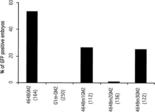 Fig. 2. Mutational analysis of the distal control elements. The percentages of GFP-positive, 48-hour embryos obtained after microinjection of deletion constructs are presented. The result obtained with the 4648GM2 construct is shown again as a control. Deletion of the double GATA motif within the distal control region (construct G1m-GM2) completely abolished GFP expression in circulating blood cells of microinjected embryos.