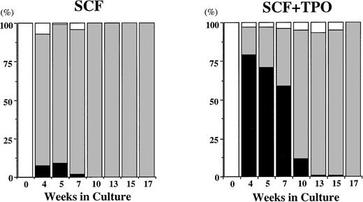 Fig. 2. Time course of relative frequency of POX+cells and tryptase+ cells grown by SCF, or SCF + TPO. The cells were identified on cytocentrifuged preparations stained with POX or with a MoAb against tryptase. POX+ cells (black bars), tryptase+ cells (gray bars), others (white bars).