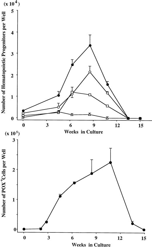 Fig. 7. Expansion of hematopoietic progenitors under stimulation with SCF + TPO. After numbers of viable cells were serially counted, the cultured cells were incubated in methylcellulose culture supplemented with IL-3, GM-CSF, G-CSF, SCF, and EPO. After 14 days, GM colonies, erythroid bursts, and mixed erythroid colonies were scored. The data are the mean ± SD of the number of colonies per well in triplicate suspension cultures. The results shown are from one representative experiment of three. Similar results were obtained in the other two experiments. GM colonies (○), erythroid bursts (□), mixed erythroid colonies (▵), and total colonies (•).