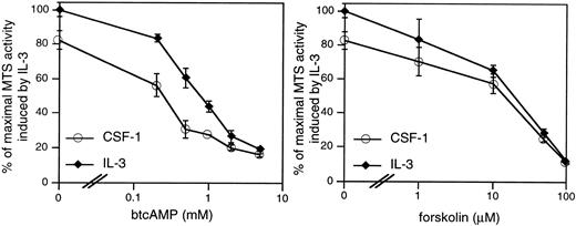 Fig. 1. cAMP elevations inhibit CSF-1– and IL-3–stimulated mitogenesis in 32D/CSF-1R myeloid cells. Exponentially growing cells were seeded into RPMI, 10% FBS with either 5 nmol/L CSF-1 or 100 U/mL of murine recombinant IL-3 and the indicated doses of btcAMP (left panel) or forskolin (right panel). Forty-eight hours later, mitogenesis was determined by the colorimetric assay as described in Materials and Methods. Results are shown as a percentage of the absorbance at 490 nm obtained for cells growing in IL-3 and represent the mean ± SE of duplicate samples.