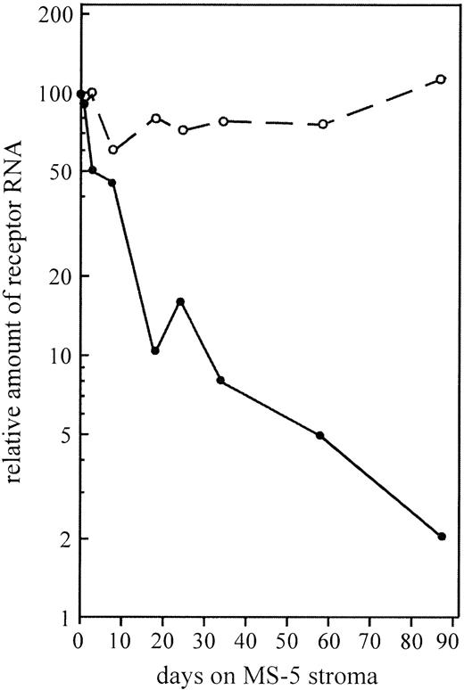 Fig. 3. The level of c-kit mRNA (•) but not that of the GM-CSF receptor β-chain mRNA (○) is downregulated by stroma interaction. Semiquantitative PCR was performed from TF-1 grown for different times on MS-5 stroma. Actin was used as an internal standard for the quantification. The relation of receptor RNAs to β-actin RNA in TF-1 cells grown in suspension were set to 100.