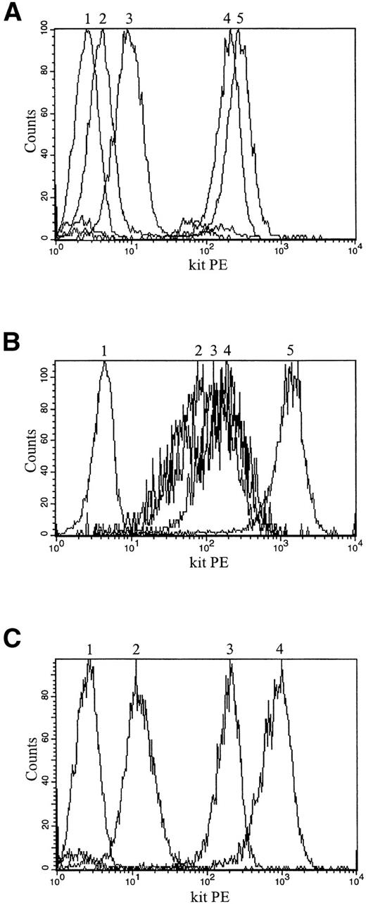 Fig. 7. Upregulation and downregulation of c-kit protein expression in TF-1S, parental TF-1, and M-07e cells is shown by anti–c-kit antibody binding (YB5.B8) and FACS analysis (histograms). (A) Upregulation and downregulation of c-kit protein expression in stroma-dependent TF-1S #MB6 clone. (1) TF-1S #MB6 labeled with mouse IgG isotype control antibody; (2) TF-1S #MB6 on MS-5; (3) TF-1S #MB6 maintained for 40 hours in suspension with GM-CSF and then rexposed for 10 hours to stroma; (4) TF-1 grown in suspension with GM-CSF; (5) TF-1S #MB6 maintained for 48 hours in suspension with GM-CSF. (B) Downregulation of c-kit protein expression in M-07e on exposure to stroma cells. (1) M-07e cells labeled with mouse IgG isotype control antibody; (2) M-07e, 21 days on MS-5; (3) M-07e, 14 days on MS-5; (4) M-07e, 7 days on MS-5; (5) M-07e grown in suspension with IL-3. (C) Downregulation and upregulation of c-kit protein expression in the parental TF-1 cells. (1) TF-1 labeled with mouse IgG isotype control antibody; (2) TF-1 on MS-5; (3) TF-1 grown in suspension with GM-CSF; (4) TF-1, 14 days on stroma and then cultured for 48 hours in suspension with GM-CSF.