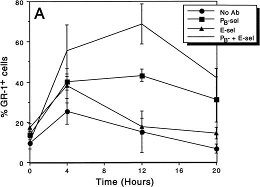 Fig. 3. The effect of MoAb treatment on the percentage of granulocytes in peripheral blood after croton oil application to the ears. Blood for FACS analysis was collected at indicated time points after the application of croton oil and injection of antibody. (A) L-selectin–deficient mice: Mice treated with combined endothelial selectin antibodies have significantly increased neutrophils at each posttreatment time point (P < .03 compared with control). By 20 hours, the percentage of circulating neutrophils is decreasing in all animals. (B) Wild-type mice: combined anti-endothelial selectin antibody increases the percentage of circulating granulocytes at each time point (P < .005 compared with control). Anti–L-selectin treatment does not significantly affect circulating granulocyte percentages.