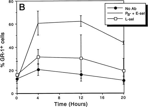 Fig. 3. The effect of MoAb treatment on the percentage of granulocytes in peripheral blood after croton oil application to the ears. Blood for FACS analysis was collected at indicated time points after the application of croton oil and injection of antibody. (A) L-selectin–deficient mice: Mice treated with combined endothelial selectin antibodies have significantly increased neutrophils at each posttreatment time point (P < .03 compared with control). By 20 hours, the percentage of circulating neutrophils is decreasing in all animals. (B) Wild-type mice: combined anti-endothelial selectin antibody increases the percentage of circulating granulocytes at each time point (P < .005 compared with control). Anti–L-selectin treatment does not significantly affect circulating granulocyte percentages.