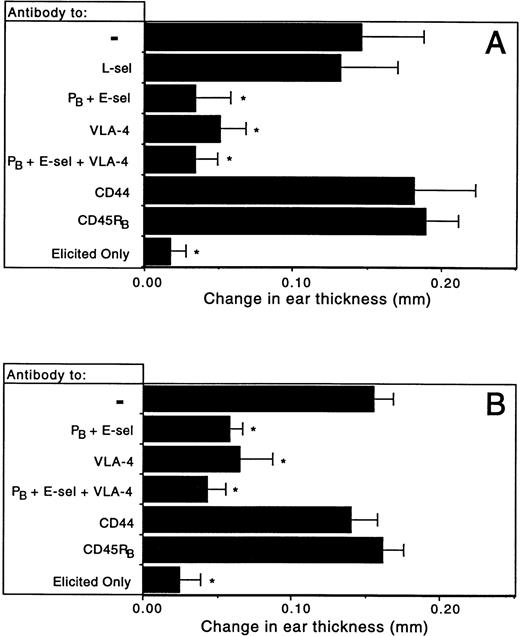 Fig. 4. Antibody blocking of a CHS ear swelling response to DNFB. Mice were treated as described and ears were measured 24 hours after elicitation. (A) Wild-type mice: combined anti-endothelial selectin antibody significantly reduces antigen-specific ear swelling compared with both untreated and anti-CD45RB control treated animals. Antibody to VLA-4 is equally effective, whereas neither anti–L-selectin nor anti-CD44 treatment has any effect. (B) L-selectin–deficient mice: treatment with combined anti-endothelial selectin or anti–VLA-4 significantly reduces ear swelling. Anti-CD44 and control anti-CD45RB have no effect. n ≥ 4 for each treatment group. *P < .001 compared with both untreated and anti-CD45RB control treated animals.