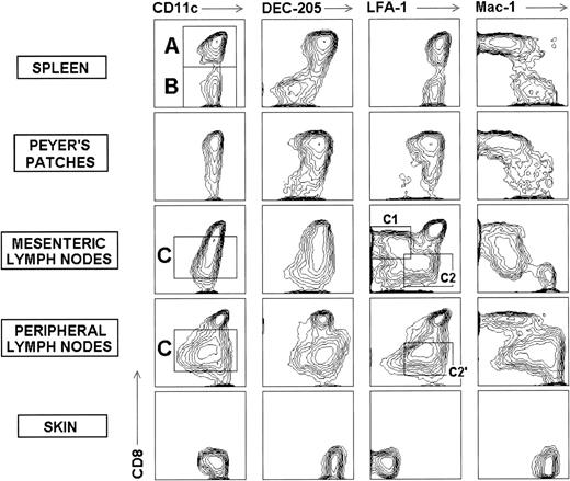 Fig. 1. Definition of DC subpopulations from the spleen, Peyer’s patches, LN, and skin of the mouse. Contour plots show the CD8 versus CD11c, DEC-205, LFA-1, or Mac-1 profile of uncultured DC purified from the spleen, Peyer’s patches, mesenteric and peripheral LN, and skin of BALB/C mice, gated for CD11c+ cells. CD8+and CD8− DC subpopulations can be defined (A and B) in the spleen . In the Peyer’s patches most DC are of the CD8+ subset. In the LN an additional CD8intDC subset exists (C), which can be further subdivided on the basis of the CD8 versus LFA-1 expression: in the mesenteric LN, around 50% CD8int DC are CD8int-high LFA-1low(C1 cells) whereas the remaining 50% are CD8int-lowLFA-1int (C2 cells), whereas in peripheral LN, CD8int DC constitute a single population of CD8int-low LFA-1int cells (C2′ cells) (see text for details). Finally, epidermal LC constitute a single DC subpopulation with a distinctive phenotype. The CD8 versus DEC-205 contour plot for the skin corresponds to LC after overnight incubation because, as indicated in Materials and Methods, trypsin treatment used during LC isolation causes partial DEC-205 degradation, which can be restored on culture at 37°C (see also Fig 2). These data are representative of five to eight experiments with similar results.