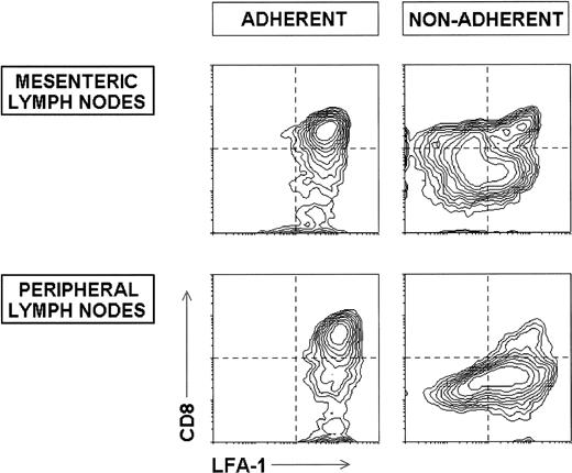 Fig. 3. Phenotype of adherent and nonadherent DC subsets from mesenteric and peripheral LN. Mesenteric and peripheral LN DC were purified as described, incubated for 90 minutes at 37°C, and the nonadherent and adherent fractions collected and analyzed for the expression of CD8 and LFA-1. The contour plots show the LFA-1 versus CD8 profiles of adherent and nonadherent DC after gating for CD11c+ cells. The dotted lines mark the lower limit defining the expression at high levels of the corresponding marker. These data are representative of four experiments with similar results.