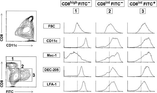 Fig. 4. Analysis of LC migrating to the draining LN after skin sensitization. BALB/c mice received 10μL of 1% FITC in ADBP on the dorsum of both ears and after 5 days the DC from the draining auricular LN were purified and analyzed. Contour plots show the CD11c versus CD8 profile of purified auricular LN DC, and the correlation between CD8 expression and FITC staining within these cells. FITC +cells were only found within the CD8 int DC subset and represented around 20% of total auricular LN DCs. Histograms show the phenotype of CD8 int FITC + DC (3) compared with that of CD8 high FITC - DC (1) and CD8int FITC - DC (2). The vertical dotted lines mark the lower limit defining the expression at high levels of the corresponding marker. These data are representative of four experiments with similar results.
