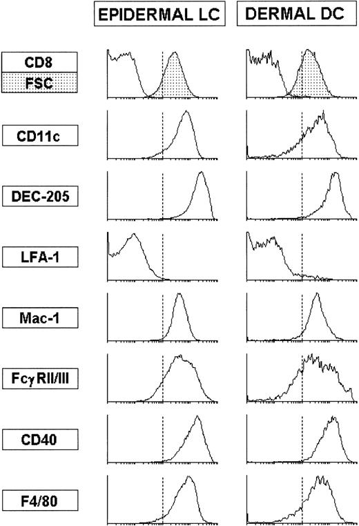 Fig. 6. Comparative phenotypic analysis of epidermal LC and dermal DC. The histograms show the expression of the indicated markers by epidermal LC and dermal DC isolated from epidermal and dermal sheets respectively, after 24-hour culture as described. Note that ▩ represent the FSC. These data are representative of three experiments with similar results.