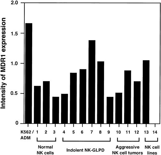 Fig. 4. Quantitative RT-PCR analysis for MDR1 gene. Intensity of MDR1 expression is shown as a ratio of the density of the bands for MDR1 and β2m. Lanes 1 through 3, 4 through 9, 10 through 12, and 13 and 14 are NK cells from the normal donors, indolent NK-GLPD, aggressive NK cell tumors, and NK cell lines, respectively. Lanes 4 through 12 correspond to patients 1 through 9 of Table 1, respectively. Lane 13 is the cell line NK92, and lane 14 is the cell line NKL.