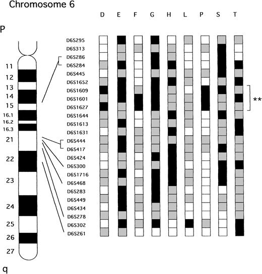 Fig. 2. Patterns of LOH on chromosome 6q in ATL. The nine samples that showed LOH at one or more loci are presented. **Represent the smallest region of shared LOH. A partial ideogram of chromosome 6q and the relative positions of the markers used in this study are shown to the left of the diagram. □ Represents informative with retention of both alleles; ▪, informative with LOH; , not informative.
