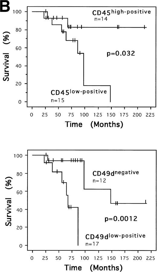 Fig. 2. B-CLL cells of patients with differing survival differ in their expression levels of CD45 and CD49d. (A) Mean fluorescence of CD45 and CD49d on B-CLL cells of all patients (with or without 11q deletion) and on B-CLL cells with 11q deletion separated into groups of cells of (□) patients who are alive and (▩) patients who died. Marked by the box diagram are the 10th, 25th, 50th (median), 75th, and the 90th percentiles. (○) Values below or above the 10th and 90th percentile, respectively. (B) Kaplan-Meier curves of the overall survival of all patients with B-CLL (with or without 11q deletion) separated into groups of CD45high-positive (>425 mean fluorescence), CD45low-positive (≤425 mean fluorescence), CD49dlow-positive (>2.9 mean fluorescence), and CD49dnegative (≤2.9 mean fluorescence) expression levels on the B-CLL cells. Tick marks represent censored data on patients who were alive or lost to follow-up.