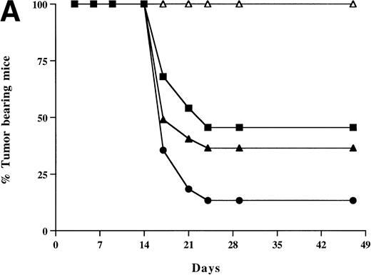 Fig. 5. Tumor incidence in mice after inoculation of HSV amplicon vector into pre-established EL4 tumor. (A) Viable EL4 cells (106) were implanted SC on one side of the hind limb of the C57BL/6 mice (8 weeks old). Tumors were allowed to develop to a size of 5 to 6 mm in diameter. HSV amplicon virus (2 × 106amplicon-containing particles) was inoculated on day 7 and again on day 14, and tumor growth was monitored every 3 days. The graph represents the percentage of tumor-bearing mice over time. (▴) HSV-B7.1; (▪) HSVrantes; (•) HSV-B7.1 + HSVrantes; (▵) HSVlac. The number of animals used in each group is shown in (B). Results of three separate experiments are pooled. Mice in which primary tumor had regressed were selected for rechallenge with 106 viable EL4 cells and tumor growth was observed for another month. Mice were killed when the tumor diameter exceeded 22 mm. (C) Statistical analysis was performed using Fisher’s exact test comparing all four arms to each other.