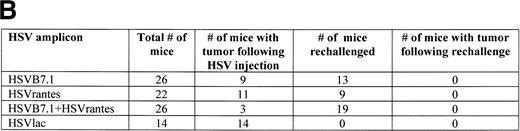 Fig. 5. Tumor incidence in mice after inoculation of HSV amplicon vector into pre-established EL4 tumor. (A) Viable EL4 cells (106) were implanted SC on one side of the hind limb of the C57BL/6 mice (8 weeks old). Tumors were allowed to develop to a size of 5 to 6 mm in diameter. HSV amplicon virus (2 × 106amplicon-containing particles) was inoculated on day 7 and again on day 14, and tumor growth was monitored every 3 days. The graph represents the percentage of tumor-bearing mice over time. (▴) HSV-B7.1; (▪) HSVrantes; (•) HSV-B7.1 + HSVrantes; (▵) HSVlac. The number of animals used in each group is shown in (B). Results of three separate experiments are pooled. Mice in which primary tumor had regressed were selected for rechallenge with 106 viable EL4 cells and tumor growth was observed for another month. Mice were killed when the tumor diameter exceeded 22 mm. (C) Statistical analysis was performed using Fisher’s exact test comparing all four arms to each other.