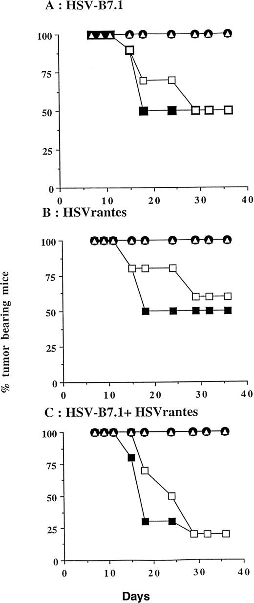 Fig. 6. Tumor incidence in mice inoculated with HSV amplicon into pre-established EL4 tumor and growth of parental EL4 cells contralaterally. Viable EL4 cells (106) were implanted SC on both hind limbs of 8-week-old C57BL6 mice. Tumors were allowed to develop to a size of 5 to 6 mm diameter. HSV amplicon virus (2 × 106 amplicon-containing virus particles) was injected into the right tumor on days 7 and 14, and growth of the HSV amplicon-treated (▪) and untreated EL4 tumor (□) was monitored every 3 days. Growth of HSVlac-treated tumor (•) or contralateral untreated EL4 tumor (▵) are also shown. Each experimental group consisted of 10 mice. The graph represents the percentage of tumor-bearing mice over time. Mice were killed when the tumor diameter exceeded 22 mm.