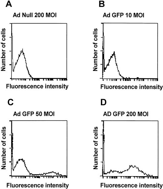 Fig. 2. Quantitative assessment of Ad vector-mediated GFP expression in murine alveolar macrophages in vitro. Shown is flow cytometry analysis of alveolar macrophages infected for 48 hours in suspension with AdGFP at 10, 50, and 200 moi. Infection withAdNull is used as control. Shown on the ordinate is cell number and on the abscissa is shown the intensity of GFP. (A) AdNull, 200 moi. (B) AdGFP, 10 moi. (C) AdGFP, 50 moi. (D) AdGFP, 200 moi.