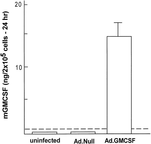 Fig. 3. Genetic modification of murine alveolar macrophages to express murine GM-CSF. Shown is expression of mGM-CSF for 24 hours after in vitro infection with AdmGM-CSF or AdNull (control) compared with uninfected AM. The dashed line represents the sensitivity of the assay. The data represent the mean ± SEM from 4 samples measured by ELISA.