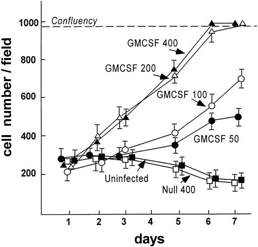 Fig. 5. AdmGM-CSF–induced proliferation of murine AM in vitro. AM were plated on cell locator dishes and infected with AdmGM-CSF or AdNull at various moi as described for Fig 4. Shown is the cell number per high power field over a 7-day period. The dashed line represents confluency of the cells on the plate.