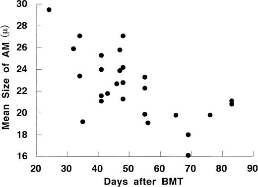 Fig. 2. The time course of the mean size of AM on cytospin preparations after allo-BMT.