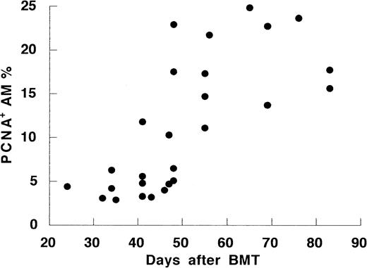 Fig. 3. The time course of percentage of proliferating cell nuclear antigen-positive cells in AM after allo-BMT.