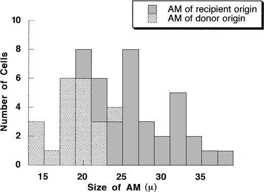 Fig. 5. A histogram of the size of AM on cytospin preparation from the recipient as shown in Fig 4. The X axis is the size of AM (in millimeters). The Y axis is the number of cells. A total of 50 AM were measured.