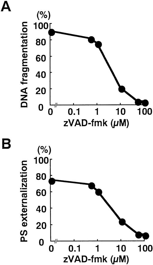 Fig. 6. Blockade of DNA fragmentation (A) and PS externalization (B) by zVAD-fmk. Neutrophils were preincubated for 1 hour with the indicated concentration of zVAD-fmk before stimulation with TNF- plus cycloheximide for 3 hours. The plots represent three independent experiments with essentially identical results.