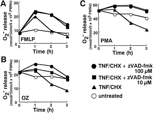 Fig. 7. Downregulation of superoxide release in TNF-–induced neutrophils and reversal by zVAD-fmk. Neutrophils incubated with or without TNF- plus cycloheximide (TNF/CHX) for the indicated time in the absence or presence of indicated concentrations of zVAD-fmk were stimulated with either FMLP (100 nmol/L), OZ (1 mg/mL), or PMA (20 ng/mL) for 15 minutes at 37°C. Superoxide generated during that 15 minute period was determined by cytochrome c reduction. Data shown represent the average values from three separate experiments performed in duplicate.
