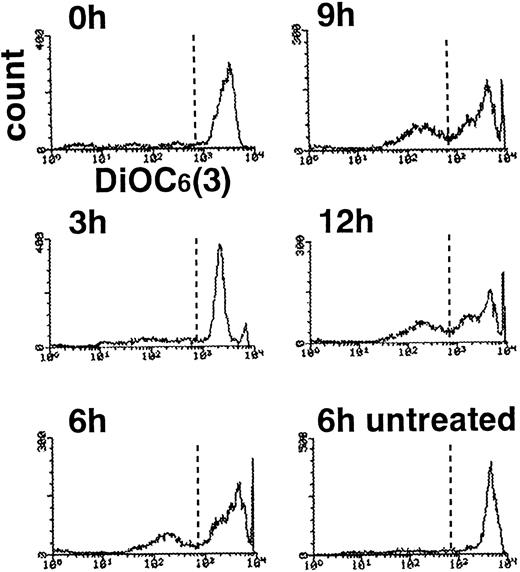 Fig. 8. Delayed collapse of mitochondrial membrane potential in TNF-–treated neutrophils. Neutrophils treated with TNF- plus cycloheximide for the indicated time periods were incubated with DiOC6(3) and subjected to flow cytometry.