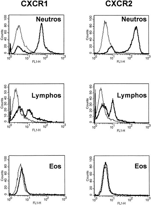 Fig. 4. CXCR1 and CXCR2 are expressed on human neutrophils and lymphocytes but not on human eosinophils. Flow cytometric analysis of human neutrophils, lymphocytes, and eosinophils. Cells were double-stained with the anti-CXCR1 or anti-CXCR2 MoAbs, respectively, and anti-CD3, CD4, CD8, and CD19 MoAbs for lymphocyte subsets; anti-CD16 MoAb for neutrophils; or anti-CD52 MoAb for eosinophils, respectively. One representative experiment of eight performed is shown.