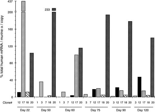 Fig. 3. Position-dependent expression of human globin genes after direct transfer of the YAC into MEL cells. Total human globin mRNA levels (ie, ɛ + γ + β) of the MEL (β-YAC) clones are expressed as the percentage of the endogenous mouse -gene corrected for copy number. Each column represents results obtained by a single clone identified with the number below the column. Clone 1 had 0% and clone 7 less than 2% of mouse mRNA and are shown as flat lines. Results from 6 culture days are shown. Notice the striking variation in human globin gene expression between clones. Such findings indicate that the expression of the globin genes is strongly influenced by the position of integration of the β-YAC into the mouse genome.