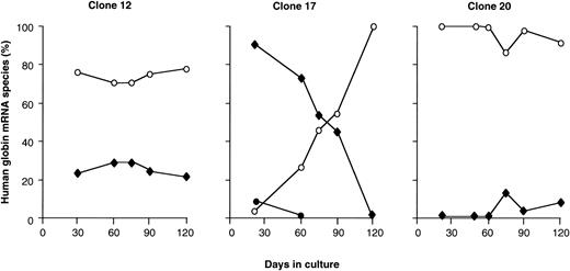 Fig. 4. Developmental regulation of the globin genes in the MEL(β-YAC) clones. Human ɛ-, γ-, and β-globin gene expression levels are plotted as a percentage of total human mRNA output from the β-locus. Results are shown from three MEL(β-YAC) clones that express more than one mRNA species. (○) β-Globin mRNA; (⧫) γ-globin mRNA; (•) ɛ-globin mRNA. Notice the highly inconsistent pattern. In clone 12 there is no change in γ or β gene expression. Clone 17 shows a typical ɛ → γ → β switch. Clone 20 displays a delayed γ gene expression.