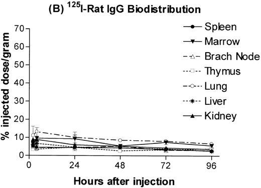 Fig. 1. Biodistribution of 100 μg dose of trace-labeled 30F11 antibody (A) and polyclonal rat IgG (B). Data points represent the mean percentage of injected dose per gram ± SD for groups of 5 animals. (C) Whole blood concentrations of 30F11 and polyclonal rat IgG over 96 hours after injection.