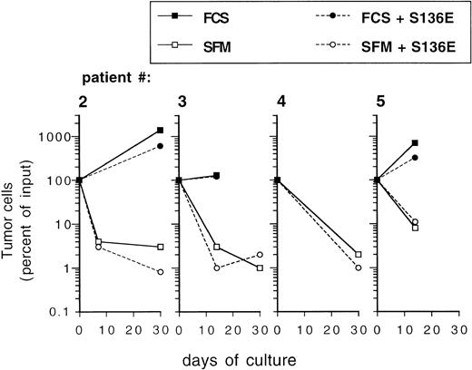 Fig. 5. Influence of culture in SFM on survival of primary mammary carcinoma cells. Freshly isolated cells from malignant effusions were directly inoculated into 24-well plates at a cell density of 0.1 to 1 × 106/mL into the indicated culture media with or without cytokines (SCF, IL-1β, IL-3, IL-6, and EPO; S136E) as indicated. Independent cultures were set up in duplicates for the individual time points. After trypsinization both adherent and nonadherent cells were subjected to immunocytochemical analysis of tumor cells as described in Materials and Methods. Results represent mean values. FCS: -MEM + 10% fetal calf serum.