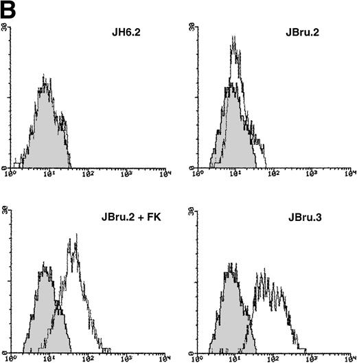 Fig. 1. Analysis of intracellular Nef protein expression in untreated or FK-treated Nef transfectants by (A) Western blot and (B) flow cytometric analyses. (A) JH6.2 (lane 1), J.Bru.2 cultured in the absence (lane 2) or presence (lane 3) of FK, and J.Bru.3 (lane 4) were subjected to Western blot analysis for Nef and tubulin. (B) Nef protein levels were determined by indirect immunofluorescence revealed by flow cytometry. Unshadowed histograms represent cells treated with anti-Nef MoAb + GAM-FITC, and shadowed histograms are negative controls (cells treated with anti-p66 of HCMV + GAM-FITC). X-axis, relative Nef expression detected by fluorescence intensity (logarithmic scale); y-axis, relative number of cells. A representative of four separate experiments is shown. The MFI (mean ± SD) of the four experiments expressed in AU was 3 ± 1 (JH6.2), 21 ± 3.5 (JBru.2), 254 ± 38 (JBru.2 + FK), and 322 ± 55 (JBru.3).