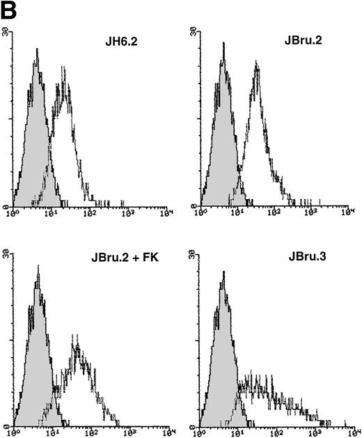 Fig. 3. (A) Effect of addition of anti-CD95 IgM on the percentage of apoptosis in untreated or FK-treated Nef transfectants cultured in RPMI + 0.1% FCS for up to 24 hours. Apoptosis was quantified by PI staining and flow cytometry at different culture times after serum starvation. Data are the mean ± SD of four separate experiments in duplicate. (B) Surface expression of CD95 in untreated or FK-treated Nef transfectants cultured in RPMI 0.1% FCS for 24 hours. Unshadowed histograms represent cells treated with anti-CD95 + GAM-FITC, and shadowed histograms are negative controls (cells treated with anti-p66 of HCMV + GAM-FITC). X-axis, relative CD95 expression detected by fluorescence intensity (log scale); y-axis, relative number of cells. A representative of four separate experiments is shown. The MFI of the four experiments (AU) was 189 ± 28 (JH6.2), 277 ± 51 (JBru.2), 325 ± 64 (JBru.2 + FK), and 394 ± 76 (JBru.3).