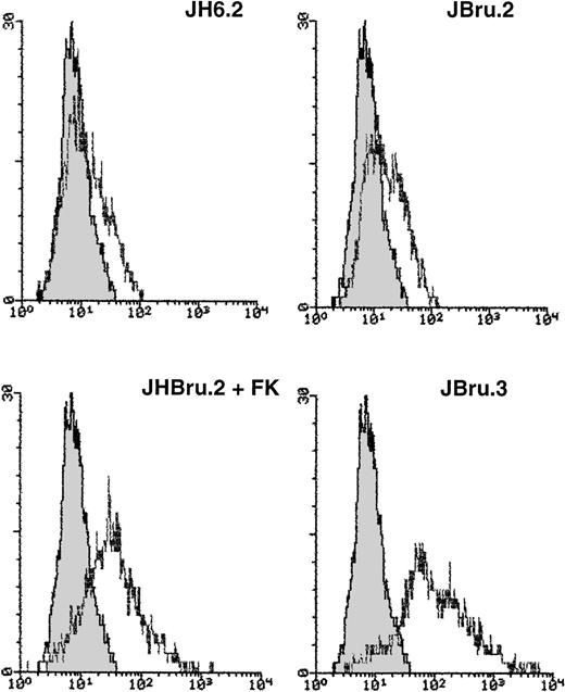 Fig. 4. Surface expression of CD95L in untreated or FK-treated Nef transfectants cultured in RPMI + 0.1% FCS for 24 hours. Unshadowed histograms represent cells treated with anti-CD95L + GAM-FITC, and shadowed histograms are negative controls (cells treated with anti-p66 of HCMV + GAM-FITC). X-axis, relative CD95L expression detected by fluorescence intensity (log scale); y-axis, relative number of cells. A representative of four separate experiments is shown. The MFI of the four experiments (AU) was 11 ± 4 (JH6.2), 63 ± 11 (JBru.2), 175 ± 46 (JBru.2 + FK), and 248 ± 70 (JBru.3).
