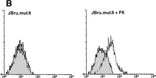 Fig. 6. Analysis of intracellular Nef protein expression in untreated or FK-treated Nef transfectants by (A) Western blot and (B) flow cytometric analyses. (A) JBru.mut.8 cells were cultured in the absence (lane 1) or presence (lane 2) of FK and then subjected to Western blot analysis for Nef and tubulin. (B) Nef protein levels were determined by indirect immunofluorescence revealed by flow cytometry. Unshadowed histograms represent cells treated with anti-Nef MoAb + GAM-FITC, and shadowed histograms are negative controls (cells treated with anti-p66 of HCMV + GAM-FITC). X-axis, relative Nef expression detected by fluorescence intensity (log scale); y-axis, relative number of cells. A representative of four separate experiments is shown. The MFI of the four experiments (AU) was 4 ± 1.5 (JBru.mut.8) and 151 ± 29 (JBru.mut.8 + FK).
