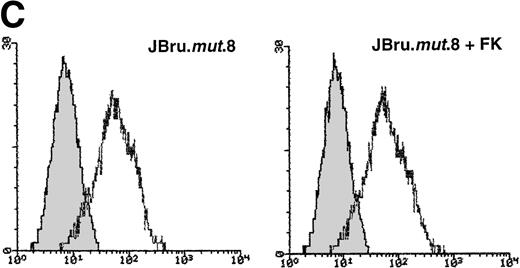 Fig. 7. Evaluation of (A and B) apoptosis and surface expression of (C) CD95 and (D) CD95L in untreated and FK-treated JBru.mut.8. (A and B) Apoptosis was quantitatively evaluated by PI staining followed by flow cytometry at different culture times after serum starvation in the (A) absence or (B) presence of anti-CD95 IgM. Data are the mean ± SD of three separate experiments in duplicate. (C and D) Surface expression of CD95 and CD95L was detected by indirect staining in cells cultured for 24 hours in RPMI + 0.1% FCS. Unshadowed histograms represent cells treated with (C) anti-CD95 + GAM-FITC or (D) anti-CD95L + GAR-FITC, and shadowed histograms are negative controls (cells treated with anti-p66 of HCMV + GAM-FITC and cells treated with normal rabbit IgG + GAR-FITC). X-axis, relative (C) CD95 or (D) CD95L expression detected by fluorescence intensity (log scale); y-axis, relative number of cells. A representative of four separate experiments is shown. The MFI of the four experiments (AU) was 233 ± 48 (JBru.mut.8) and 251 ± 62 (JBru.mut.8 + FK) in (C) and 43 ± 9 (JBru.mut.8) and 49 ± 17 (JBru.mut.8 + FK) in (D).
