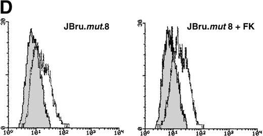 Fig. 7. Evaluation of (A and B) apoptosis and surface expression of (C) CD95 and (D) CD95L in untreated and FK-treated JBru.mut.8. (A and B) Apoptosis was quantitatively evaluated by PI staining followed by flow cytometry at different culture times after serum starvation in the (A) absence or (B) presence of anti-CD95 IgM. Data are the mean ± SD of three separate experiments in duplicate. (C and D) Surface expression of CD95 and CD95L was detected by indirect staining in cells cultured for 24 hours in RPMI + 0.1% FCS. Unshadowed histograms represent cells treated with (C) anti-CD95 + GAM-FITC or (D) anti-CD95L + GAR-FITC, and shadowed histograms are negative controls (cells treated with anti-p66 of HCMV + GAM-FITC and cells treated with normal rabbit IgG + GAR-FITC). X-axis, relative (C) CD95 or (D) CD95L expression detected by fluorescence intensity (log scale); y-axis, relative number of cells. A representative of four separate experiments is shown. The MFI of the four experiments (AU) was 233 ± 48 (JBru.mut.8) and 251 ± 62 (JBru.mut.8 + FK) in (C) and 43 ± 9 (JBru.mut.8) and 49 ± 17 (JBru.mut.8 + FK) in (D).